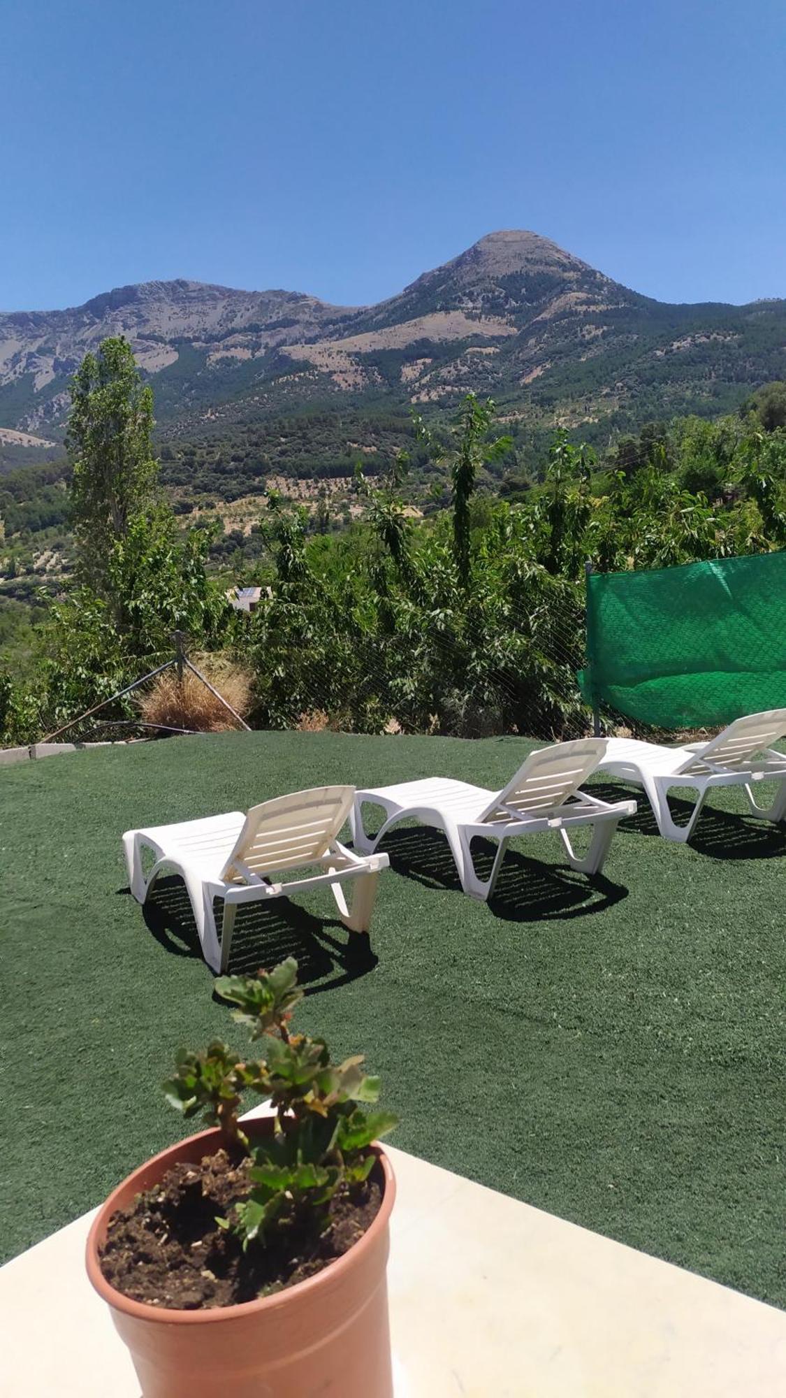 Los Cabales Torres  Eksteriør billede