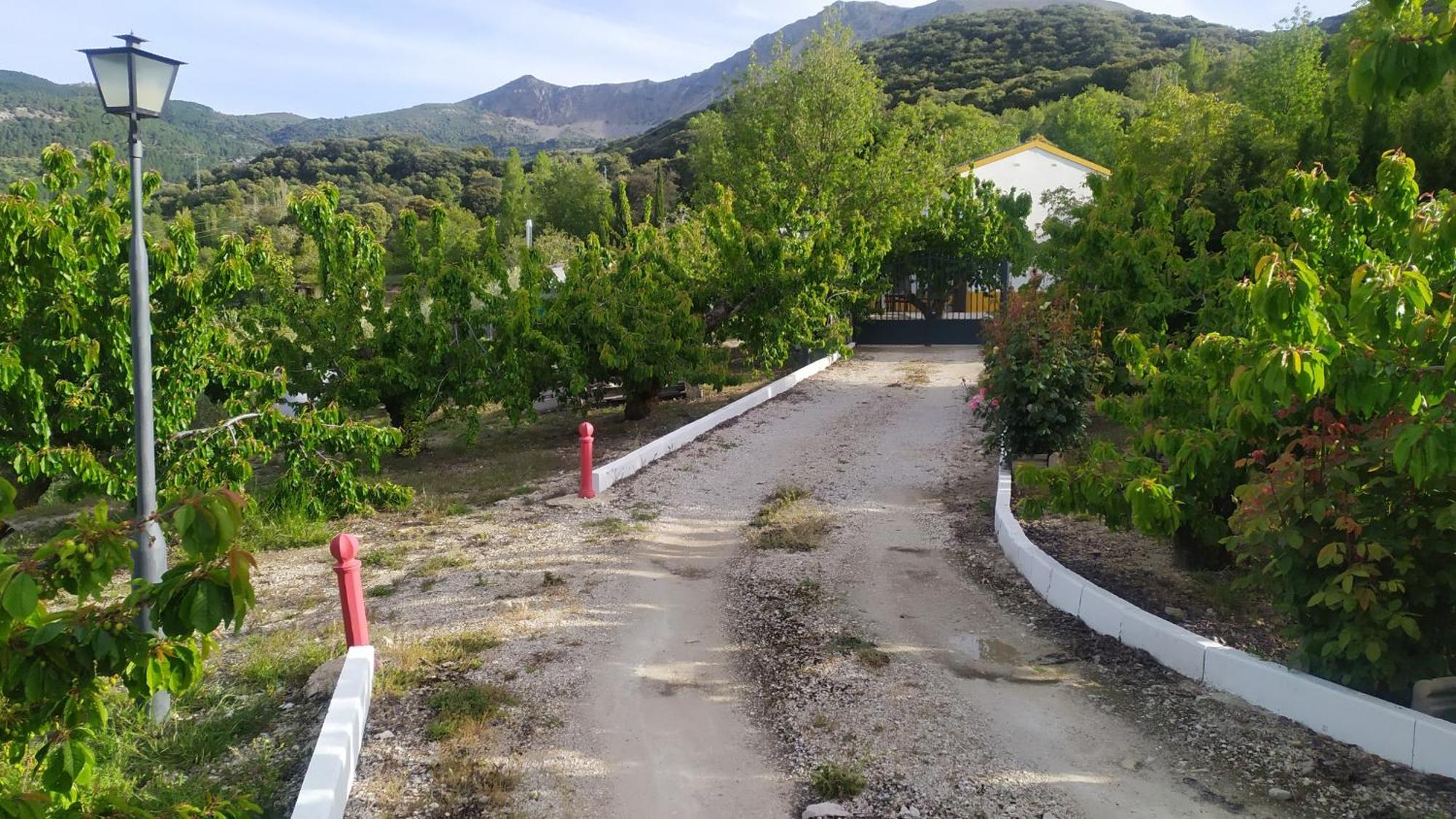 Los Cabales Torres  Eksteriør billede